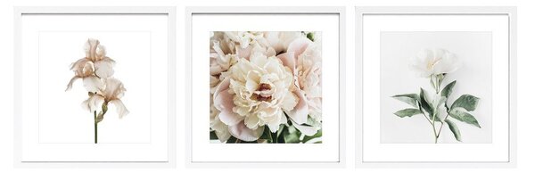 Set di dipinti stampati con cornice inclusa 3 pz 30x30 cm Posy – Styler