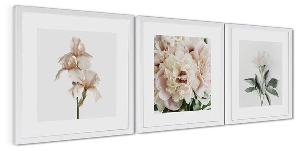 Set di dipinti stampati con cornice inclusa 3 pz 30x30 cm Posy – Styler