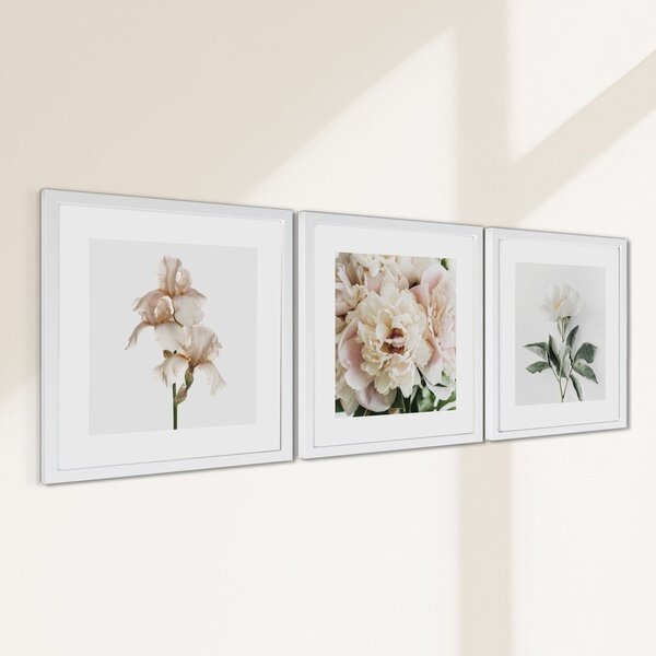 Set di dipinti stampati con cornice inclusa 3 pz 30x30 cm Posy – Styler