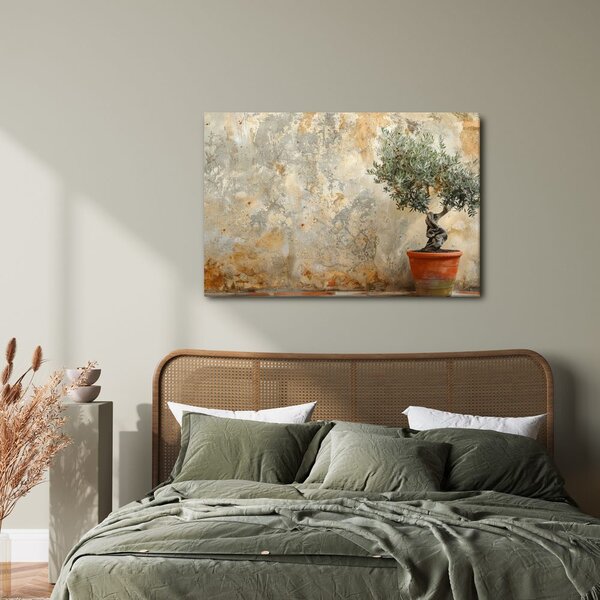 Quadro su tela – Ulivo da interno vicino al muro