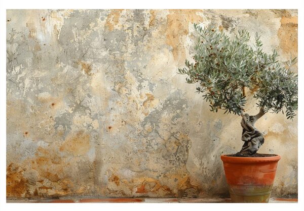 Quadro su tela – Ulivo da interno vicino al muro