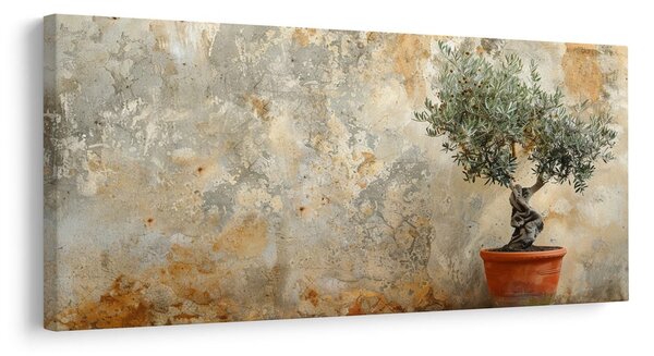 Quadro su tela – Ulivo in vaso
