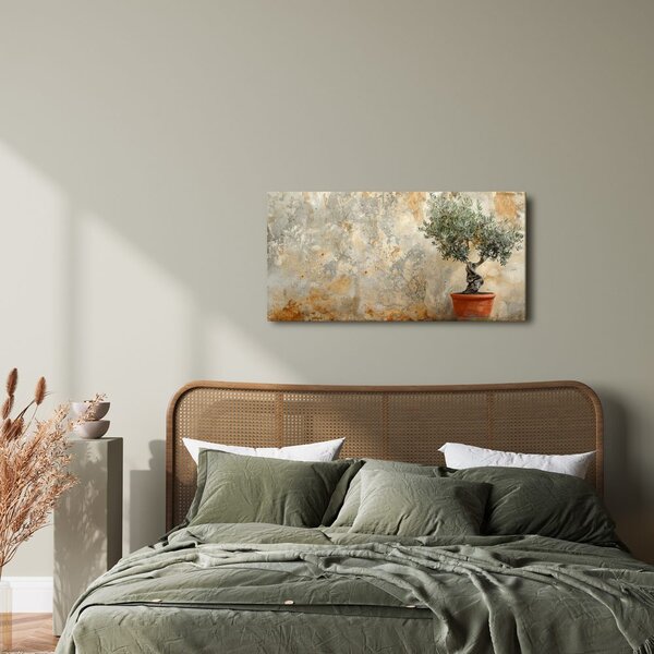 Quadro su tela – Ulivo in vaso