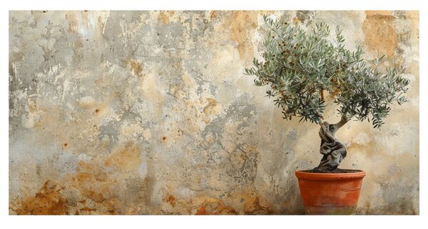 Quadro su tela – Ulivo in vaso