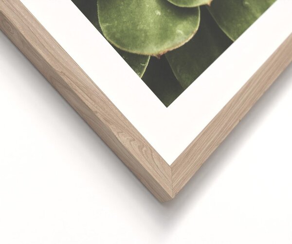 Set di dipinti stampati con cornice inclusa 2 pz 30x40 cm Beauty Green – Styler