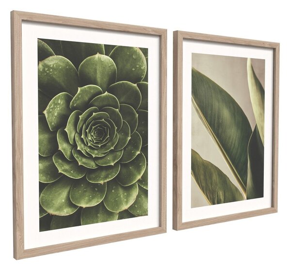Set di dipinti stampati con cornice inclusa 2 pz 30x40 cm Beauty Green – Styler