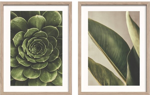 Set di dipinti stampati con cornice inclusa 2 pz 30x40 cm Beauty Green – Styler