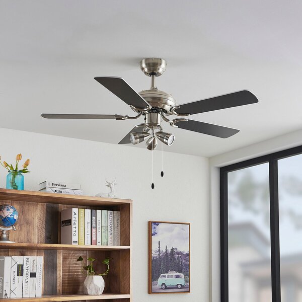 Ventilatore da soffitto Anariki con luce, silenzioso, argento - Lindby Lindby, Anariki, Metallizzato, Soggiorno, Metallo, Campagna / rustico