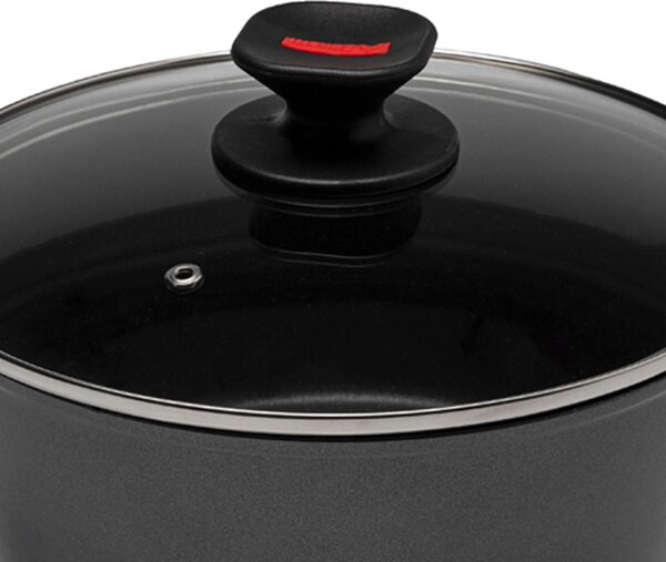 Zanetti Pentola a Induzione Casseruola Antiaderente 2 Manici con Coperchio cm 20 Alluminio - Evolution