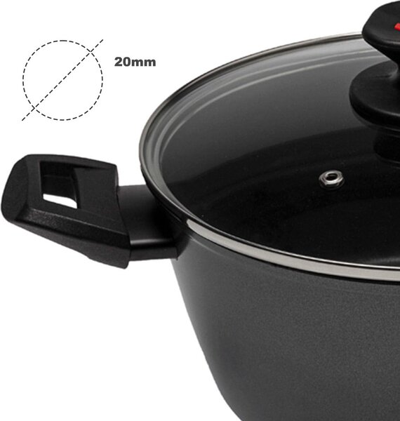 Zanetti Pentola a Induzione Casseruola Antiaderente 2 Manici con Coperchio cm 20 Alluminio - Evolution