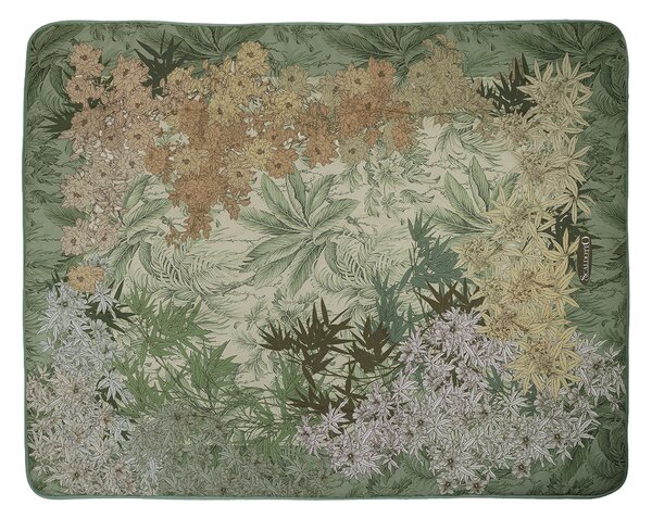 Plaid Scaldotto 130X170 Oasi GREEN Cotone Pettinato Caleffi