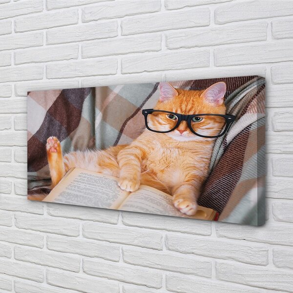 Quadro su tela Leggendo un gatto 100x50 cm