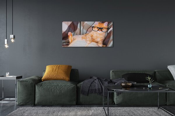 Quadro su tela Leggendo un gatto 100x50 cm