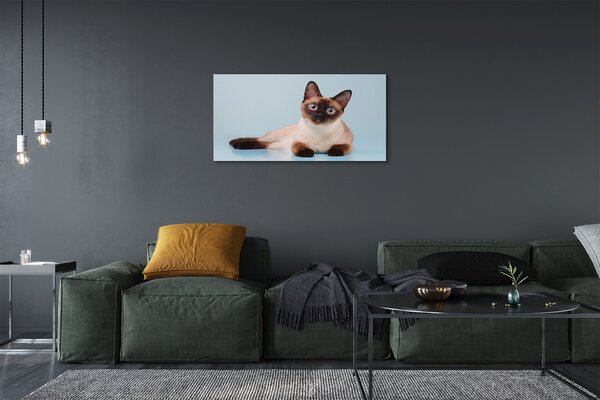 Quadro su tela Gatto bugiardo 100x50 cm