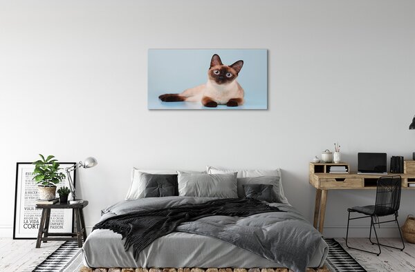 Quadro su tela Gatto bugiardo 100x50 cm