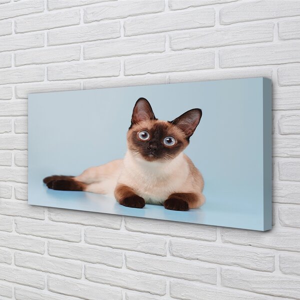 Quadro su tela Gatto bugiardo 100x50 cm