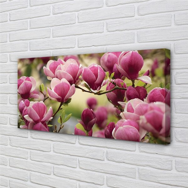 Quadro su tela Alberi 100x50 cm