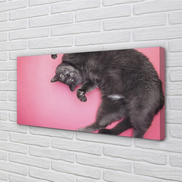Quadro su tela Gatto bugiardo 100x50 cm