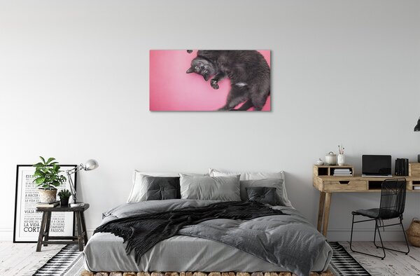 Quadro su tela Gatto bugiardo 100x50 cm