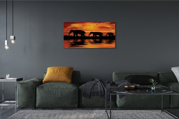 Stampa quadro su tela Lago di West Elephants 100x50 cm