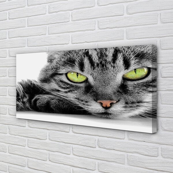 Quadro su tela Gatto grigio-nero 100x50 cm