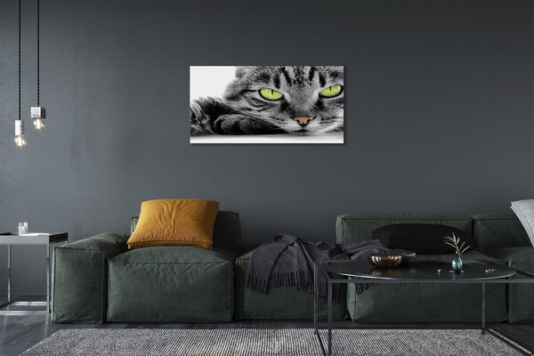 Quadro su tela Gatto grigio-nero 100x50 cm