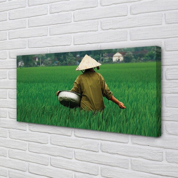 Foto quadro su tela Erba 100x50 cm