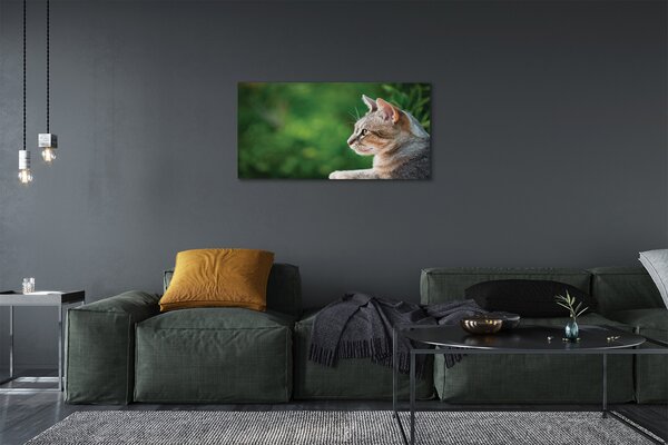 Foto quadro su tela Guardare 100x50 cm