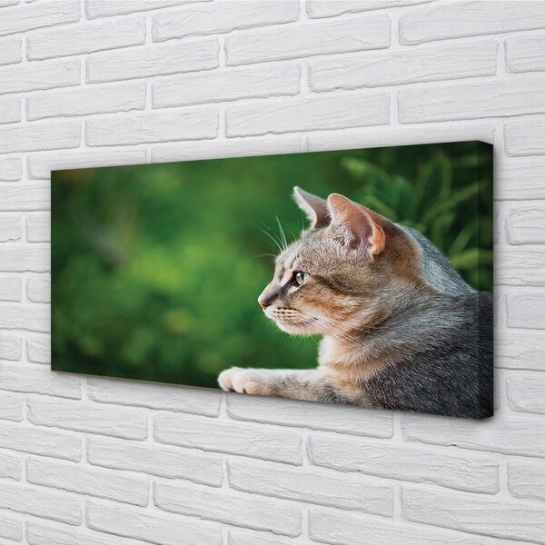 Foto quadro su tela Guardare 100x50 cm