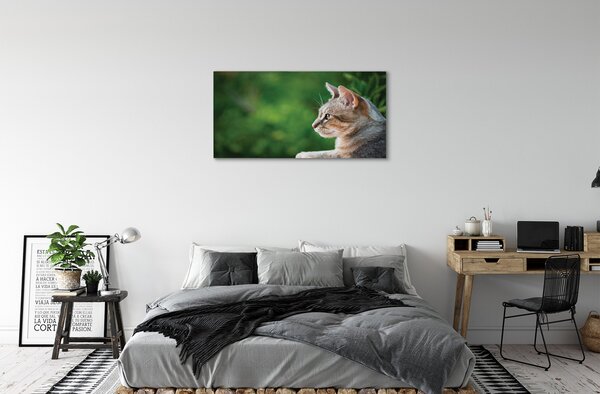 Foto quadro su tela Guardare 100x50 cm