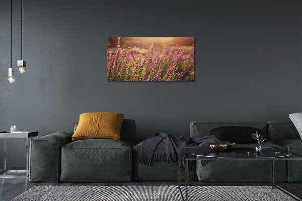 Foto quadro su tela Erica 100x50 cm