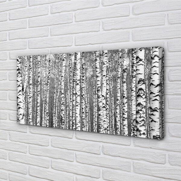 Quadro su tela Alberi bianchi e neri 100x50 cm