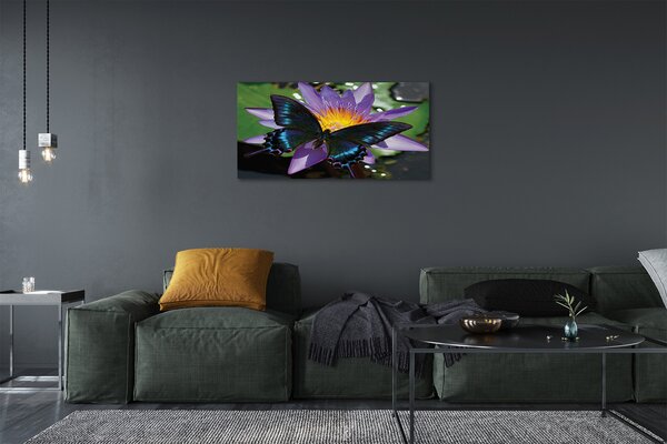 Foto quadro su tela Fiore di farfalla 100x50 cm
