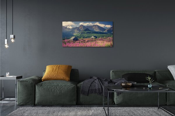 Quadro su tela Montagne dei campi cottage 100x50 cm