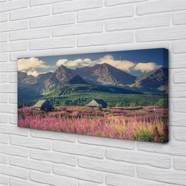 Quadro su tela Montagne dei campi cottage 100x50 cm