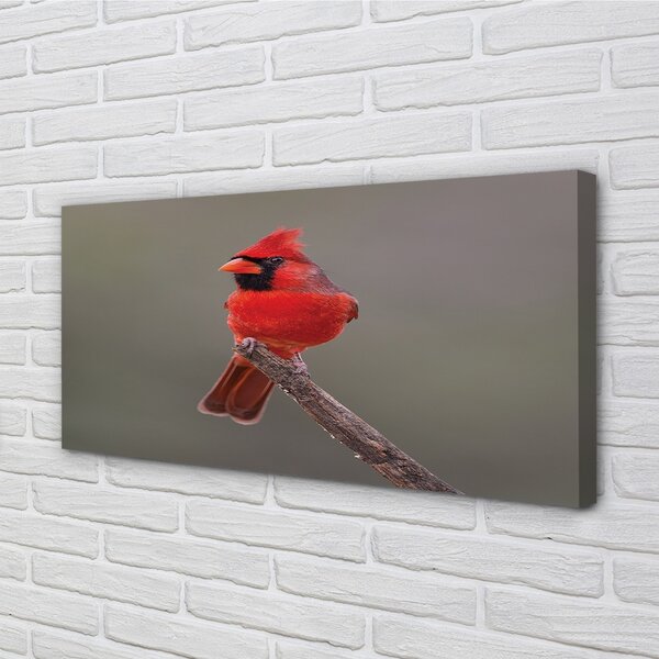 Quadro su tela Pappagallo rosso su un ramo 100x50 cm