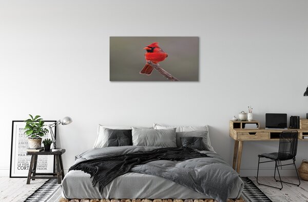 Quadro su tela Pappagallo rosso su un ramo 100x50 cm