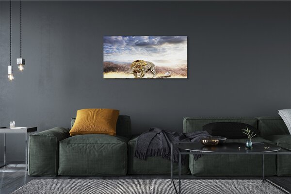 Quadro su tela Panther Cloud 100x50 cm