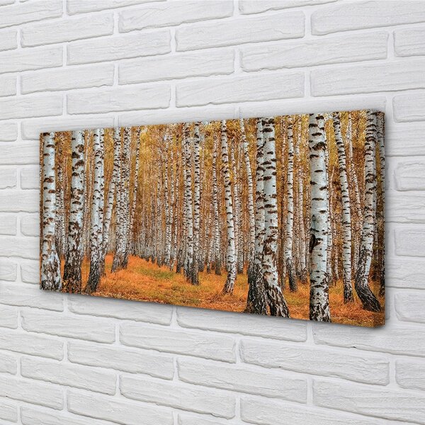 Quadro su tela Alberi autunnali 100x50 cm