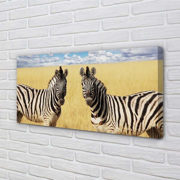 Quadro su tela Zebry polo 100x50 cm