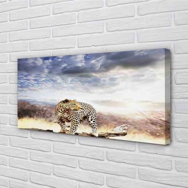 Quadro su tela Panther Cloud 100x50 cm