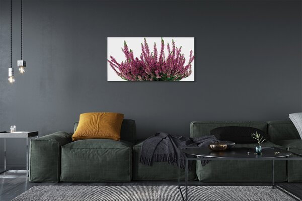 Quadro su tela Erica 100x50 cm