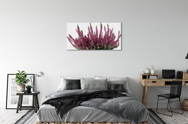 Quadro su tela Erica 100x50 cm