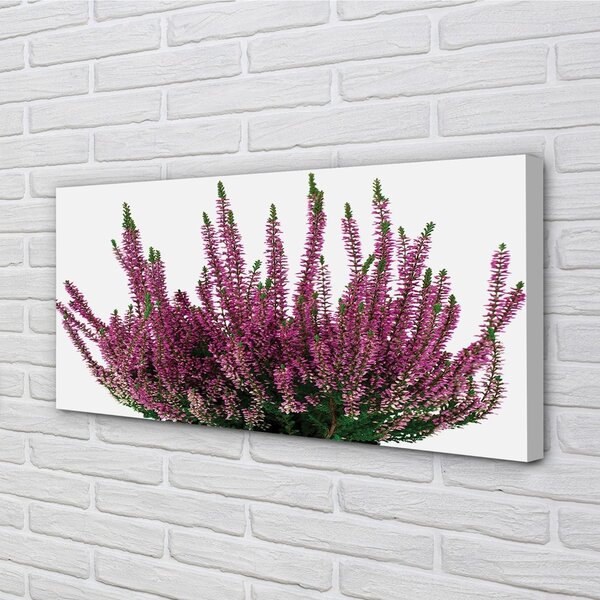 Quadro su tela Erica 100x50 cm