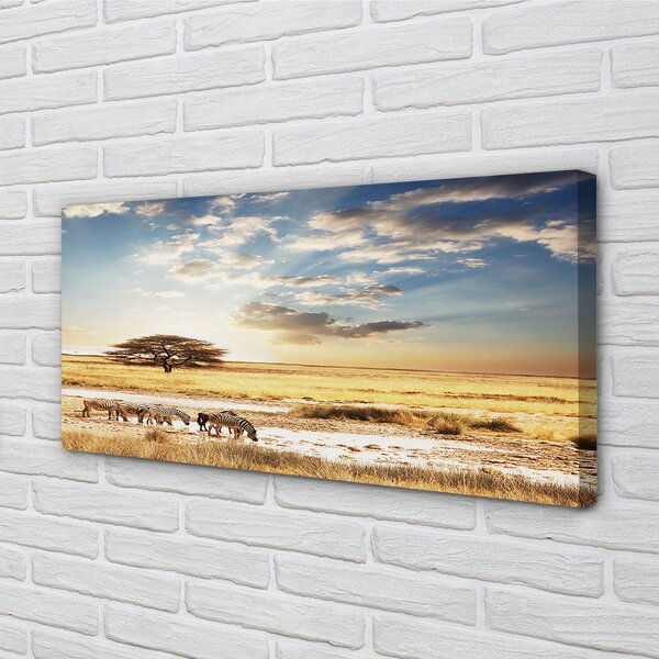 Quadro su tela Albero di nuvole di zebra 100x50 cm