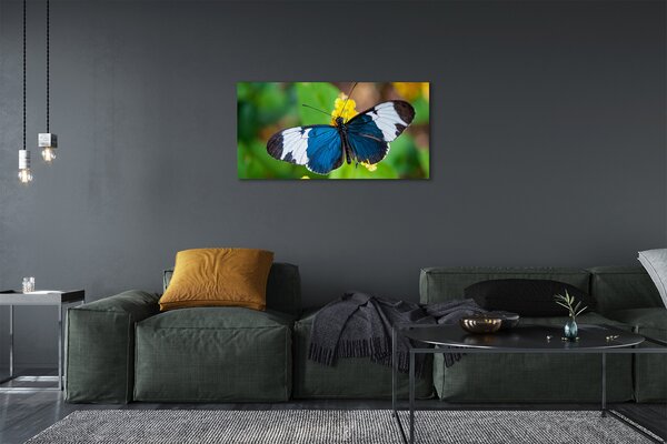 Quadro su tela Farfalla colorata sui fiori 100x50 cm