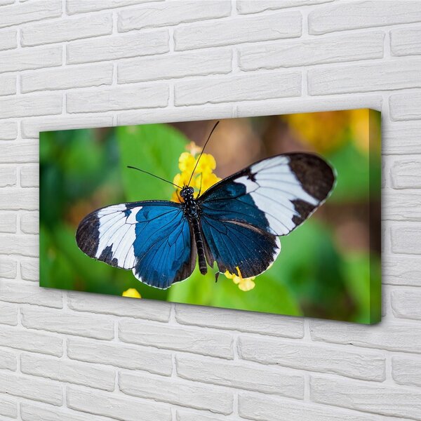 Quadro su tela Farfalla colorata sui fiori 100x50 cm