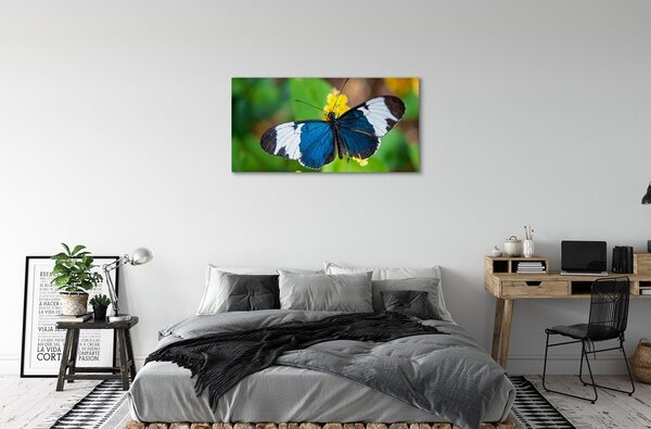 Quadro su tela Farfalla colorata sui fiori 100x50 cm