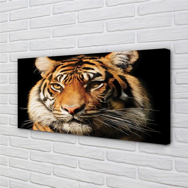 Quadro su tela Tigre 100x50 cm