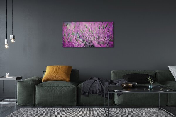 Quadro su tela Campo heather 100x50 cm